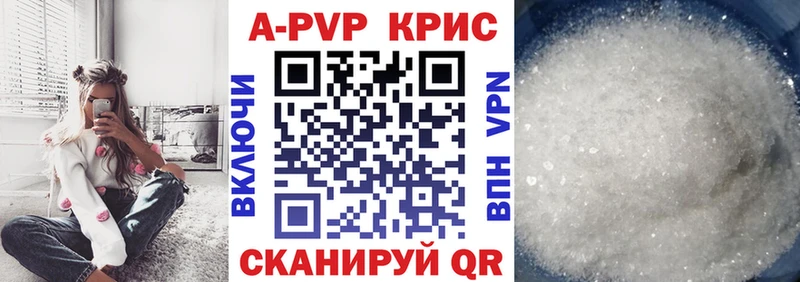 A-PVP СК  Волгоград 
