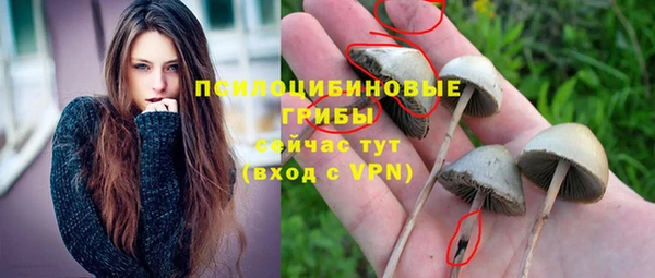 таблы Алзамай