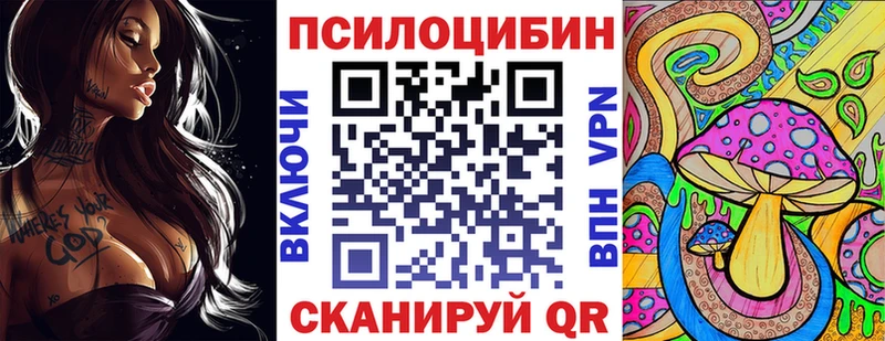 магазин    Волгоград  Галлюциногенные грибы Psilocybine cubensis 