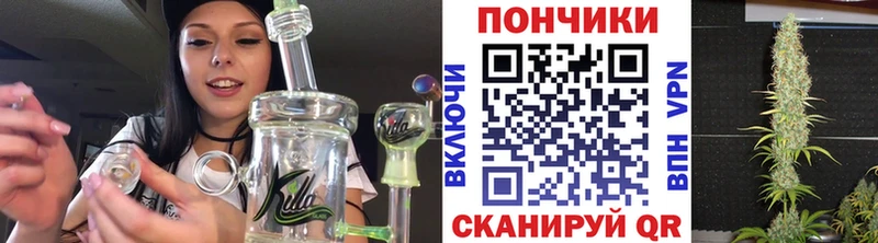 Марихуана план  Волгоград 
